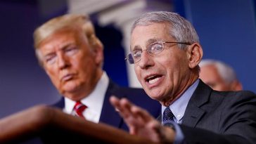 Dr Anthony Fauci has been at the forefront of the coronavirus response in the United States, but has been out of the public eye in recent weeks [Al Drago/EPA]
