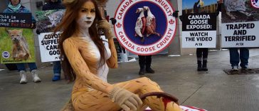 Model and animal rights activist. - Copyright Vikki Lenola