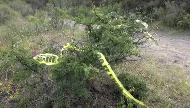 23 corpses found in secret graves in Mexico