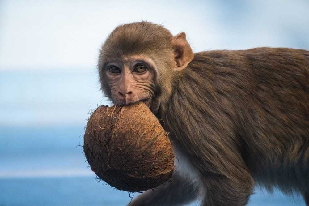 BknxWASQ6UeWbqrbG1pjpg