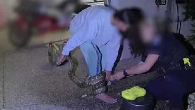 i_eH6IJb8UaarC4vDQF4ZQ