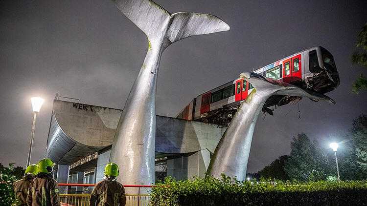 5f9ff45b7152d818a4d68204