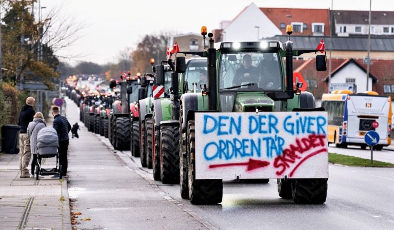 Mink in Denmark: farmers on the street