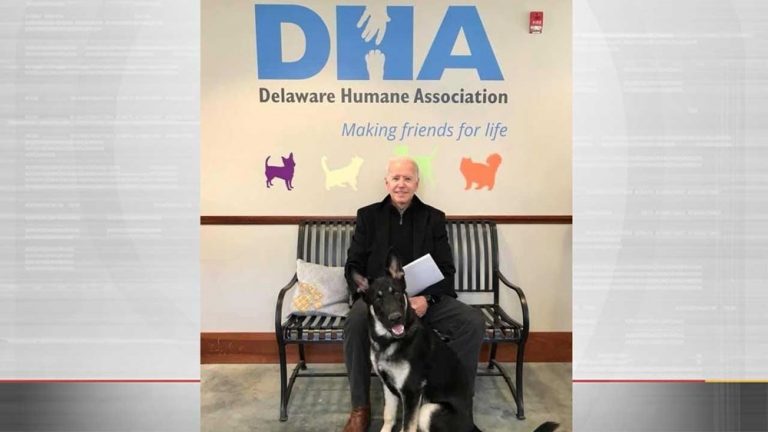 New residents of the White House with Joe Biden