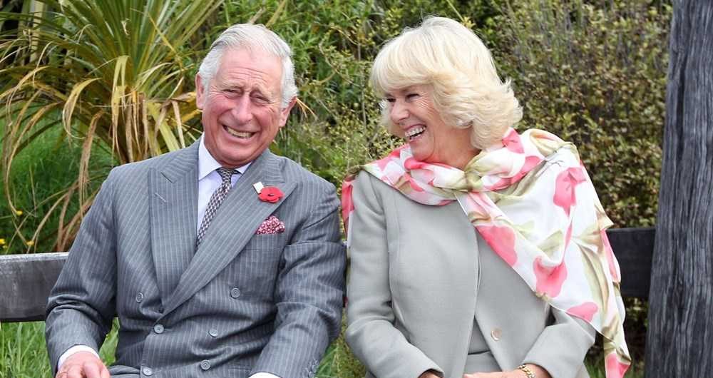 8FXocBa8mkyh0WwopnMKNQ