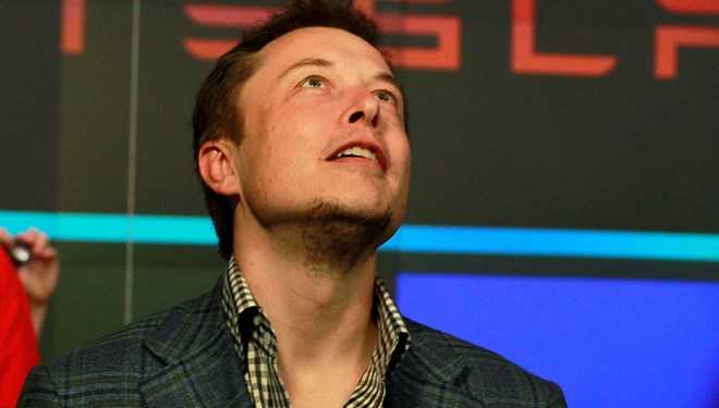 Elon Musk suggested, wrong Signal shares increased: 1300 percent increase