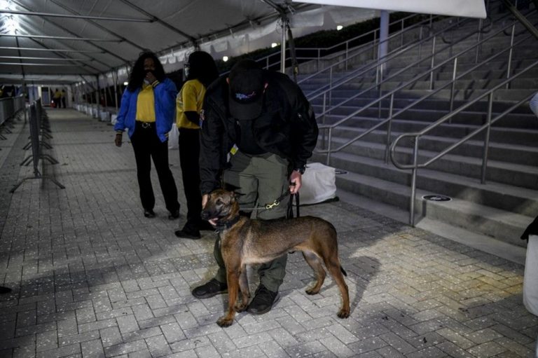 New era in sports: Dogs sniff Covid-19