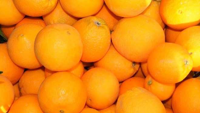 They ate 30 kilos of oranges to avoid the luggage charge