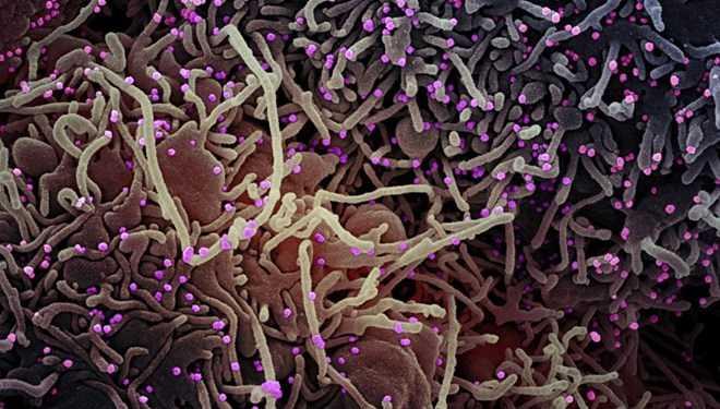 qB-1xtYi0U24qWvx-x8rcw